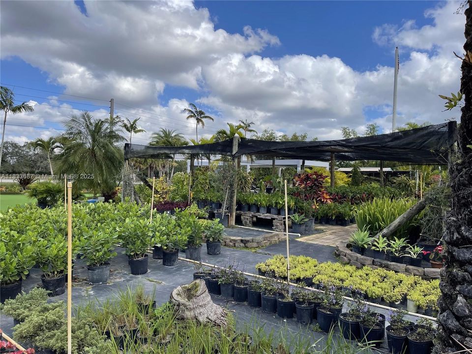 待售: $1,000,000 (1.30 acres)