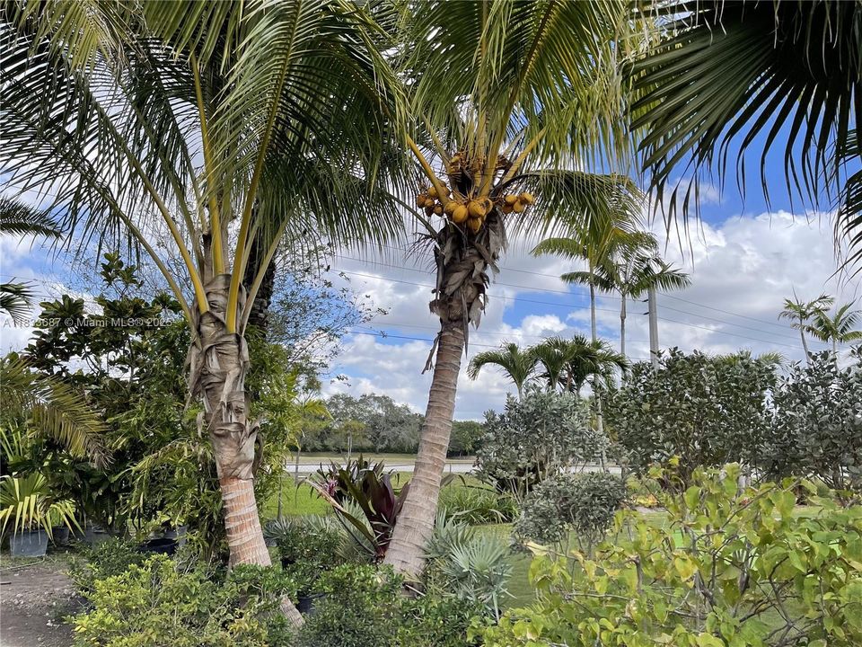 待售: $1,000,000 (1.30 acres)