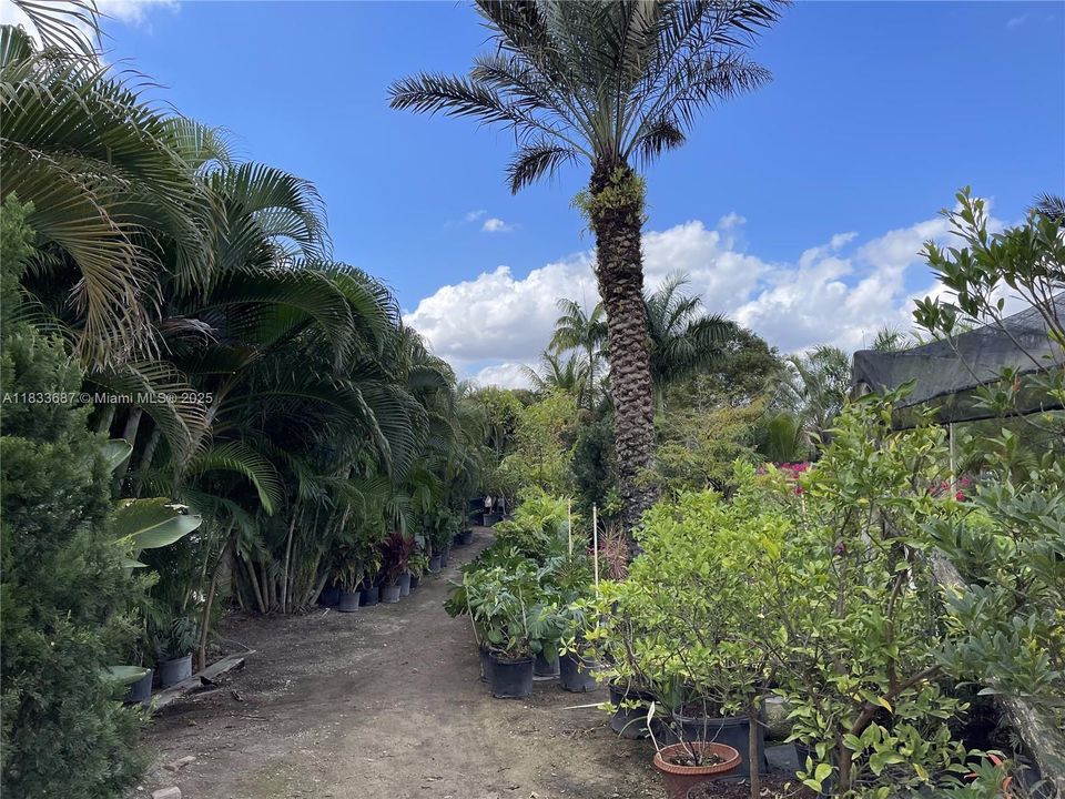 待售: $1,000,000 (1.30 acres)