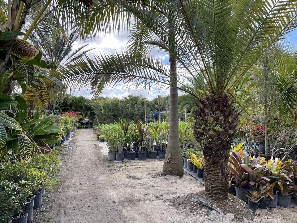 待售: $1,000,000 (1.30 acres)