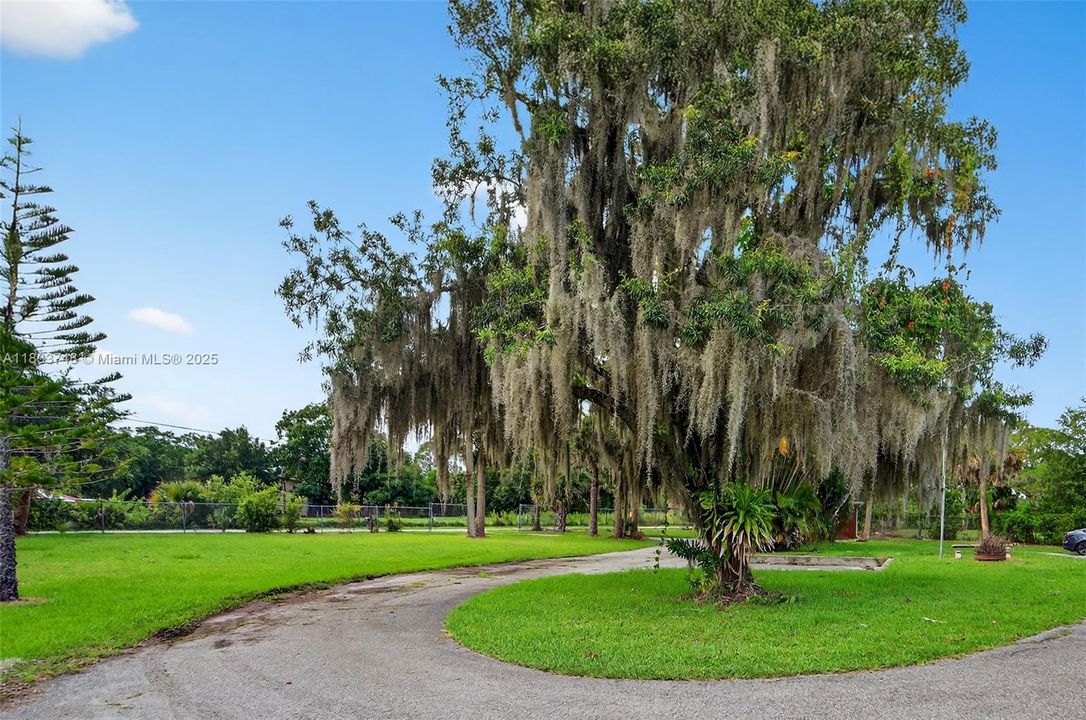 最近租的: $5,000 (3 贝兹, 2 浴室, 1748 平方英尺)