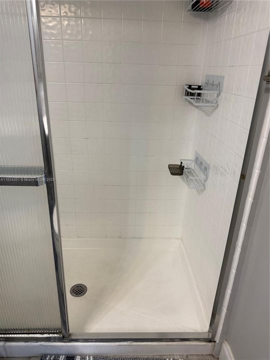 Master Shower