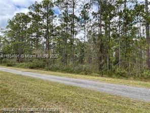 待售: $17,900 (0.50 acres)