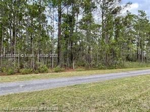 待售: $17,900 (0.50 acres)