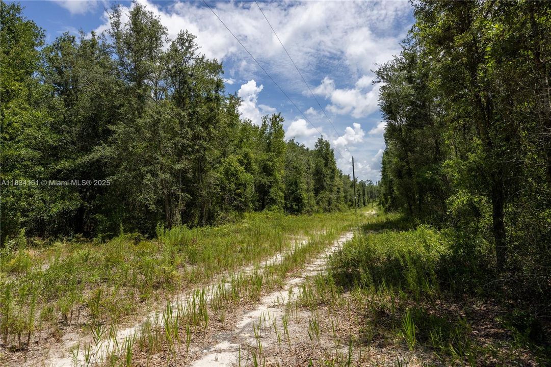 Недавно продано: $135,000 (10.06 acres)