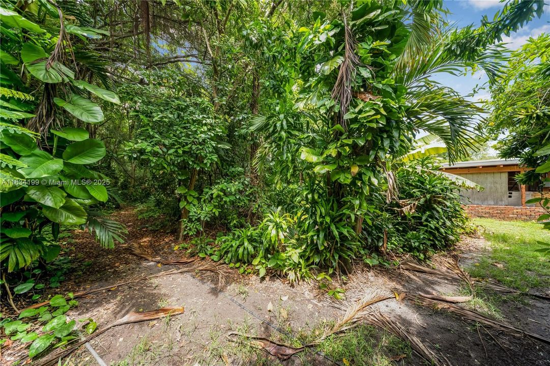 На продажу: $3,000,000 (1.32 acres)