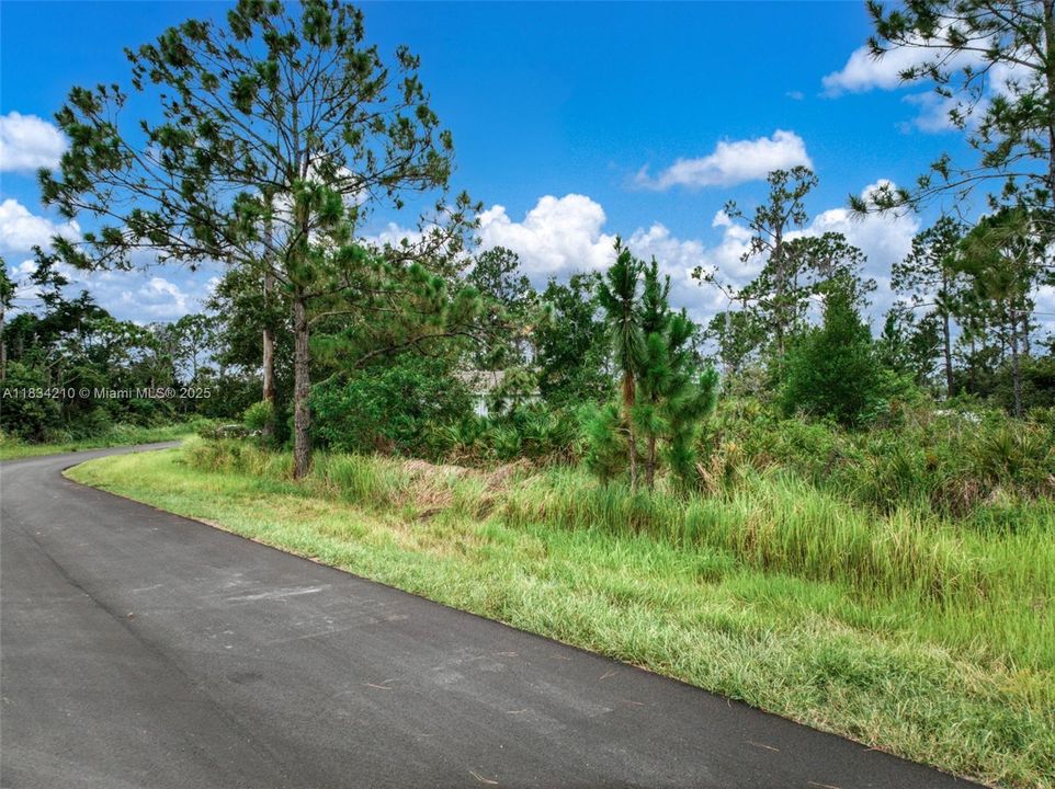 Recently Sold: $39,900 (0.30 acres)