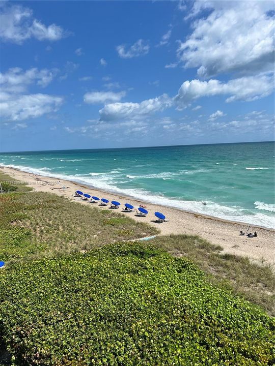 For Rent: $4,200 (2 beds, 2 baths, 1228 Square Feet)