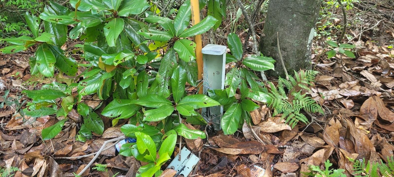 For Sale: $22,500 (2.00 acres)