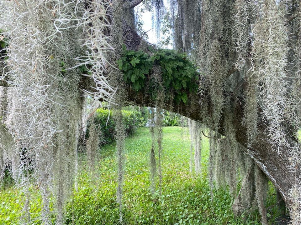 IMG-20240611-WA0002