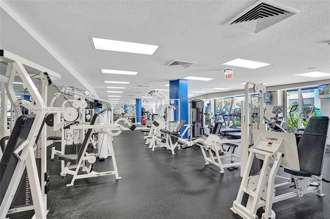 Amazing gym area with lots of equipment for all your exercise needs