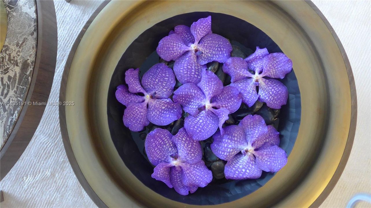 For Sale: $2,790,000 (2 beds, 3 baths, 1487 Square Feet)