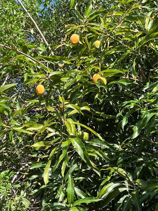 Activo con contrato: $450,000 (3 camas, 1 baños, 968 Pies cuadrados)