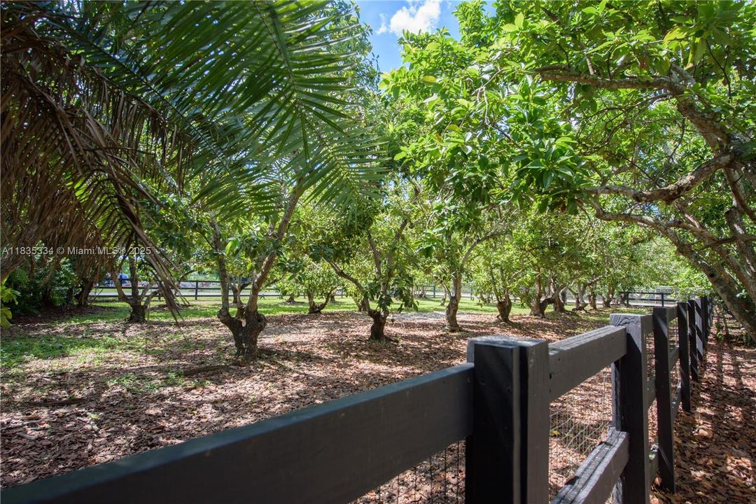 合同活跃: $2,999,000 (4 贝兹, 4 浴室, 3764 平方英尺)