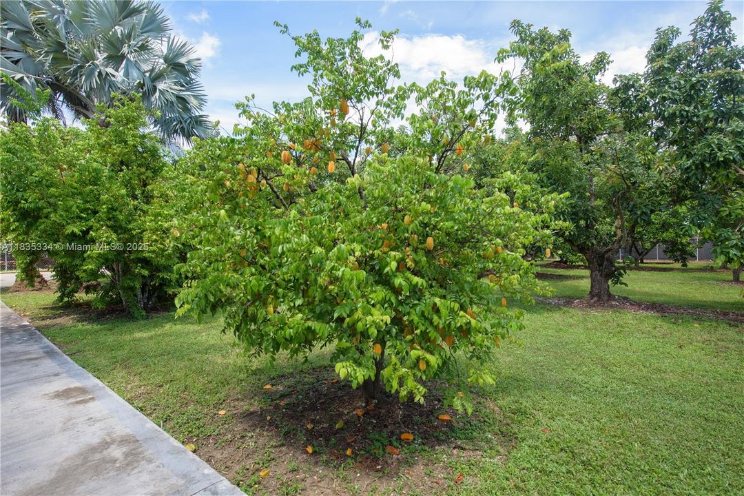 合同活跃: $2,999,000 (4 贝兹, 4 浴室, 3764 平方英尺)