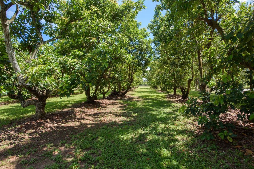 合同活跃: $2,999,000 (4 贝兹, 4 浴室, 3764 平方英尺)