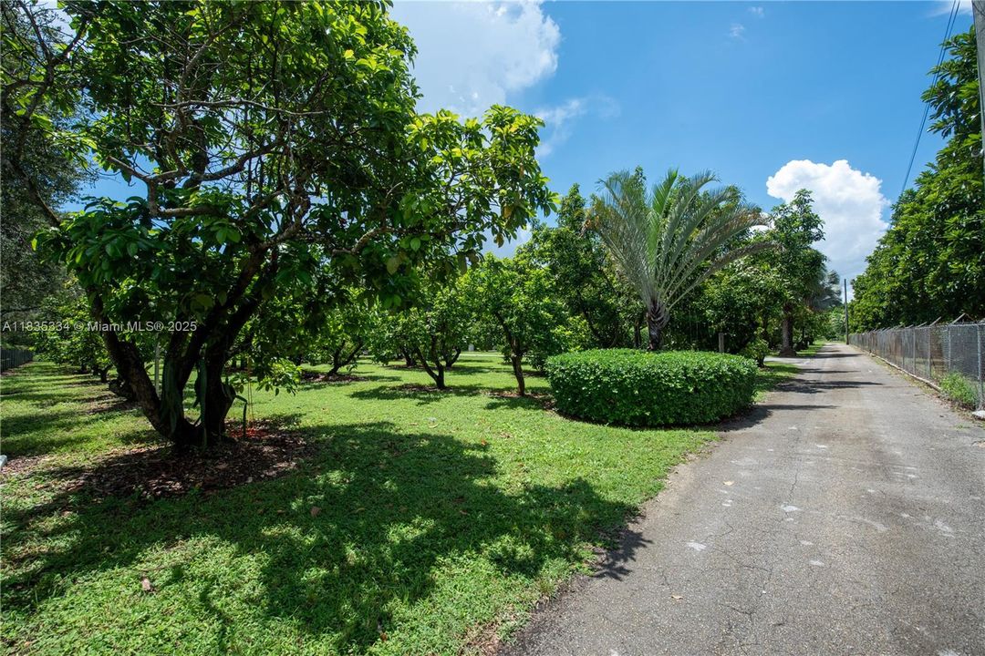 合同活跃: $2,999,000 (4 贝兹, 4 浴室, 3764 平方英尺)