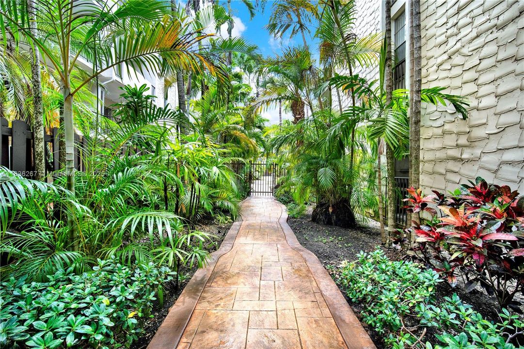 Walkways surrounded by tropical foliage