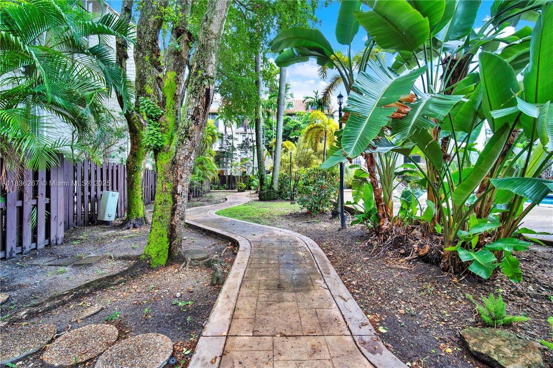 Tropical walkways and paths