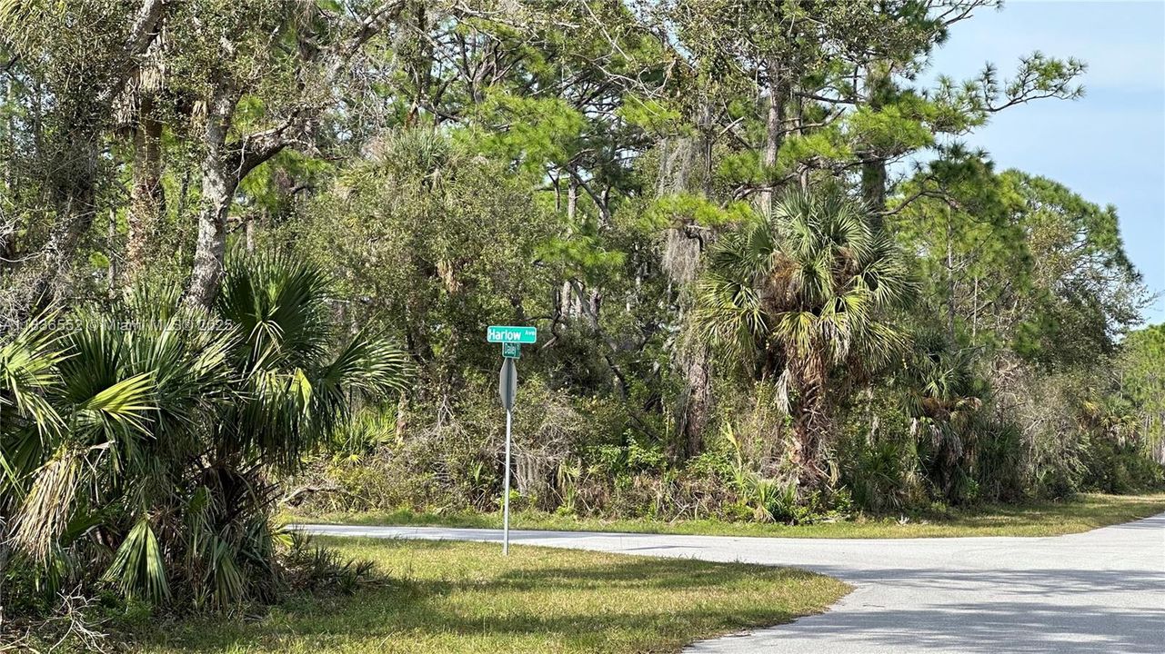 На продажу: $50,000 (0.02 acres)
