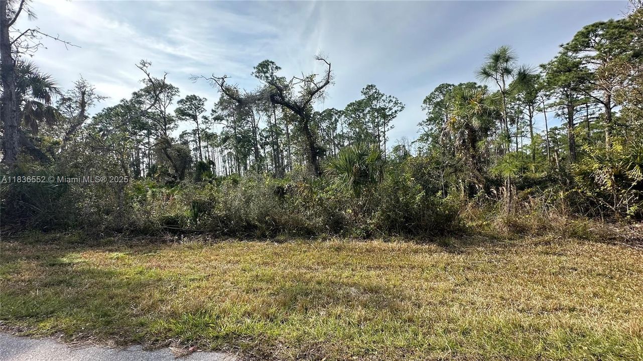 На продажу: $50,000 (0.02 acres)