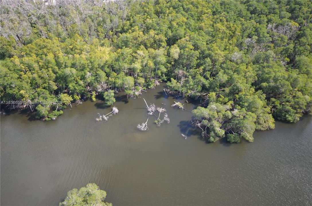 Active With Contract: $3,600 (2 beds, 2 baths, 937 Square Feet)