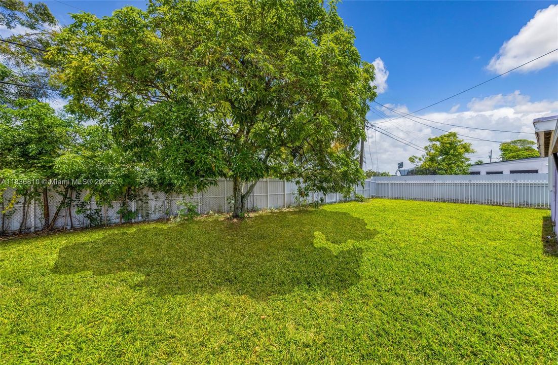 *Please note that the photos were enhanced*