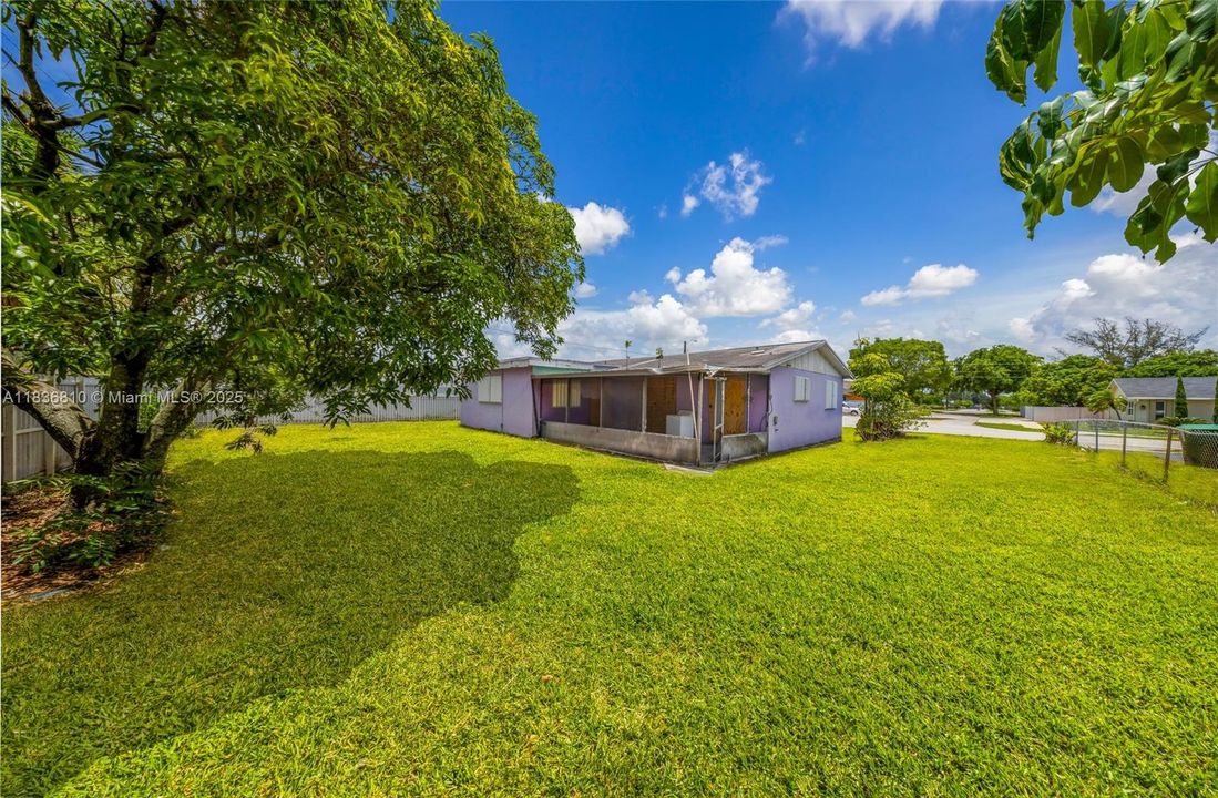 *Please note that the photos were enhanced*