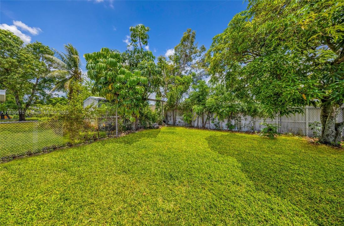 *Please note that the photos were enhanced*