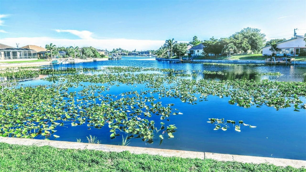 Recently Sold: $419,900 (4 beds, 2 baths, 1556 Square Feet)