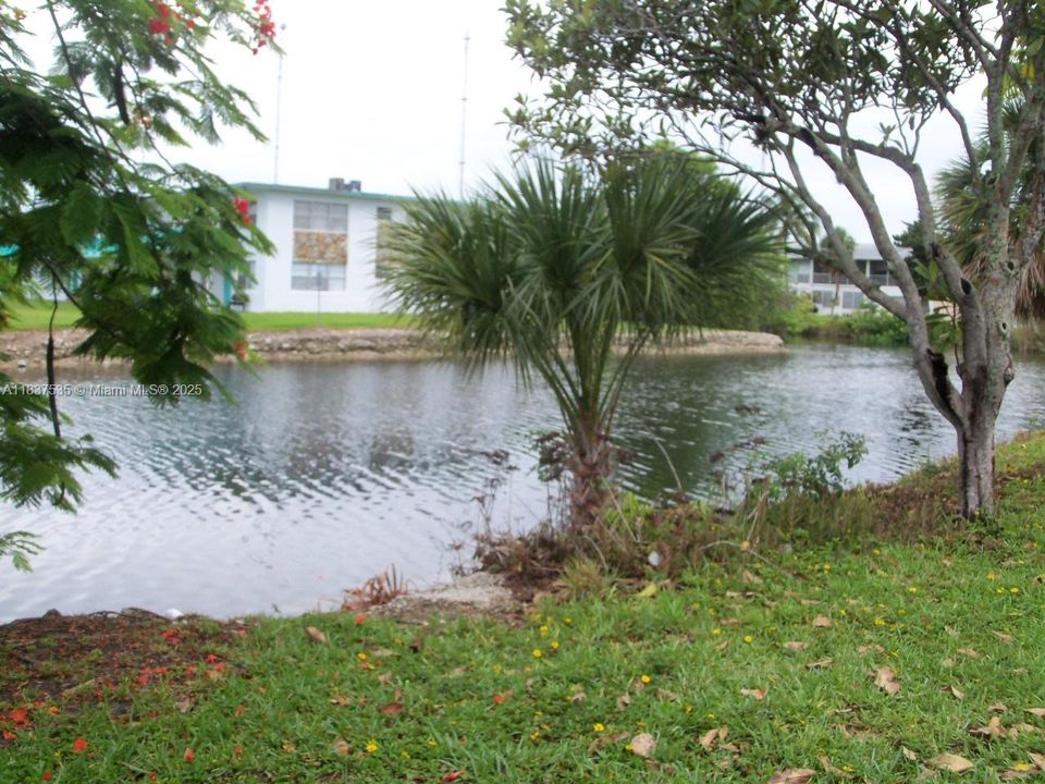 En Venta: $109,900 (1 camas, 1 baños, 691 Pies cuadrados)