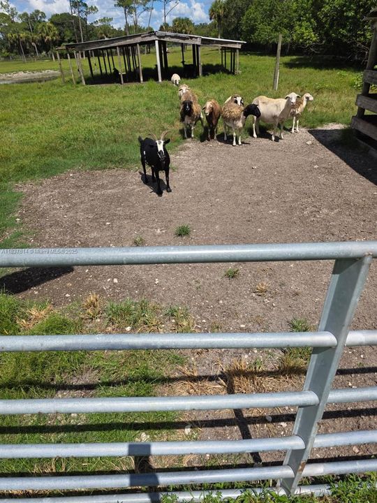 For Sale: $480,000 (3 beds, 2 baths, 1248 Square Feet)