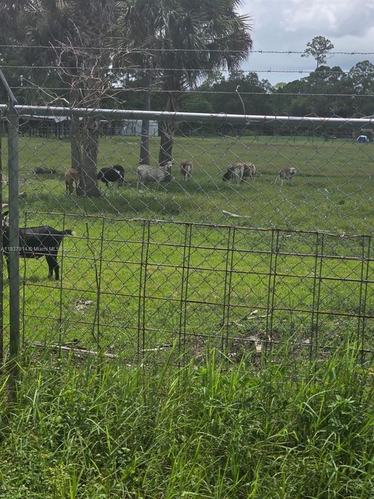 For Sale: $480,000 (3 beds, 2 baths, 1248 Square Feet)