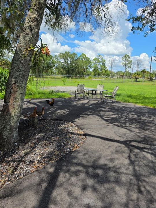 For Sale: $480,000 (3 beds, 2 baths, 1248 Square Feet)