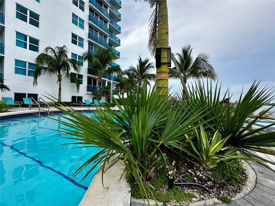 Недавно продано: $299,000 (2 спален, 2 ванн, 1145 Квадратных фут)