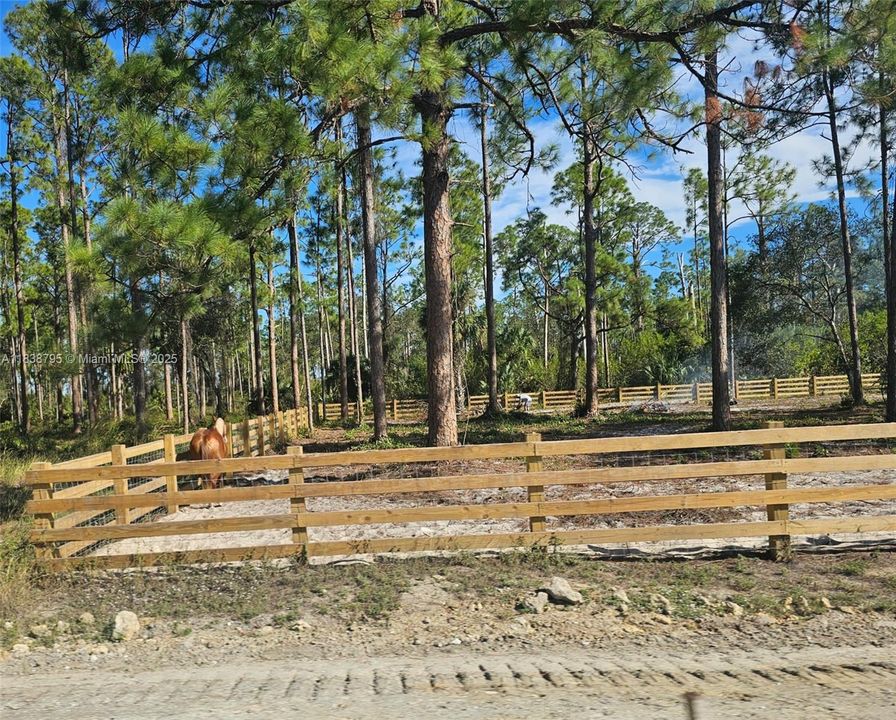 На продажу: $80,000 (1.25 acres)