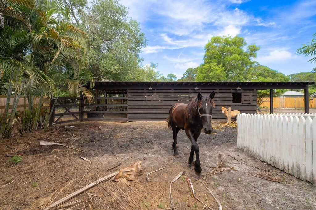 Horse Stalls