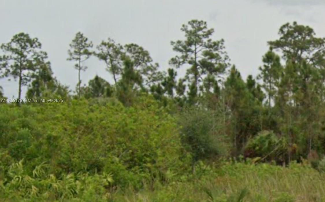 На продажу: $47,000 (0.50 acres)