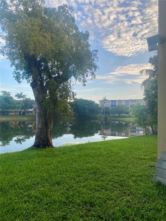 最近售出: $120,000 (2 贝兹, 2 浴室, 1000 平方英尺)