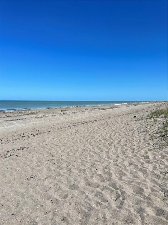 出租: $3,000 (2 贝兹, 2 浴室, 2464 平方英尺)