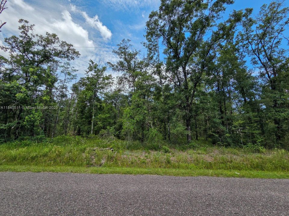 Recently Sold: $24,000 (1.14 acres)