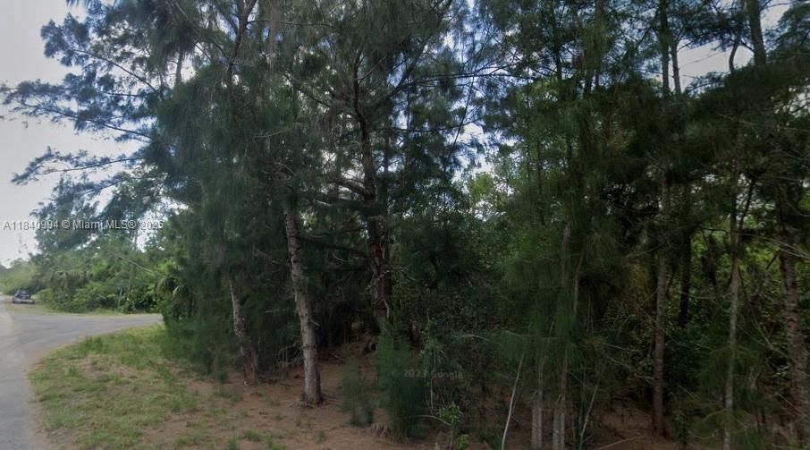 For Sale: $20,000 (0.30 acres)