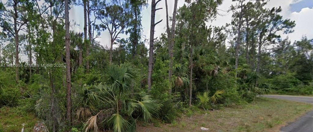 For Sale: $20,000 (0.30 acres)