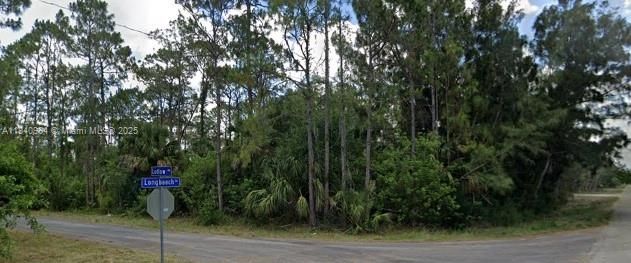 For Sale: $20,000 (0.30 acres)