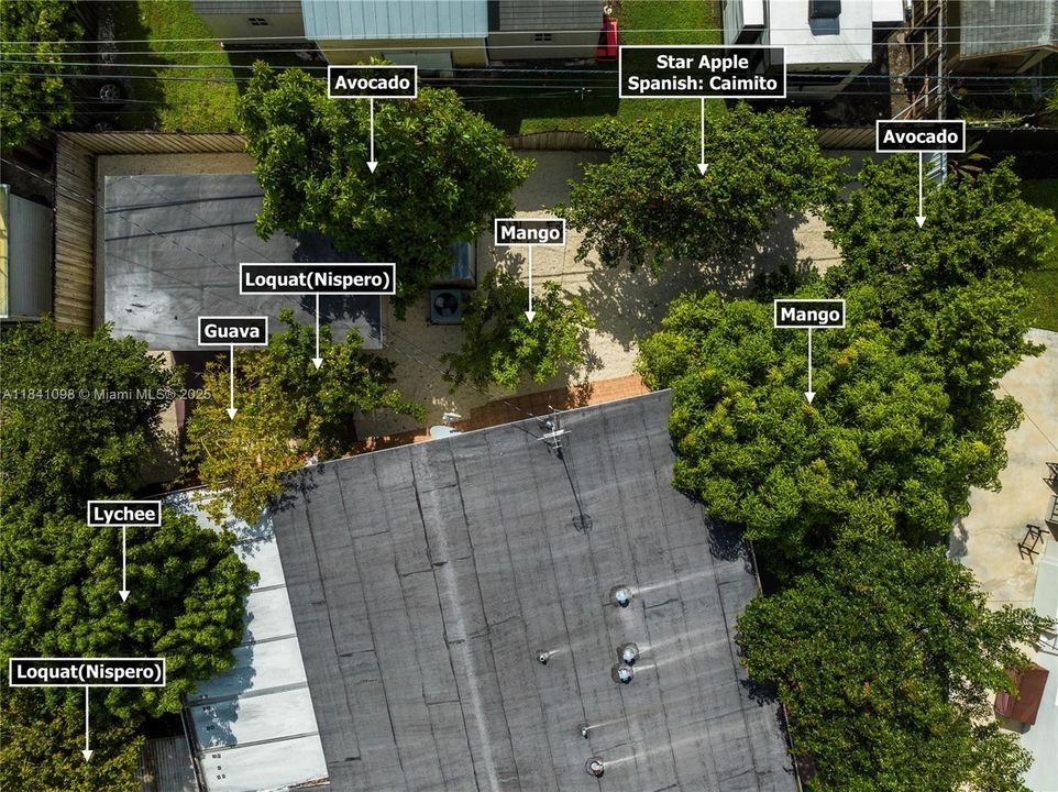 6 different type of fruits.