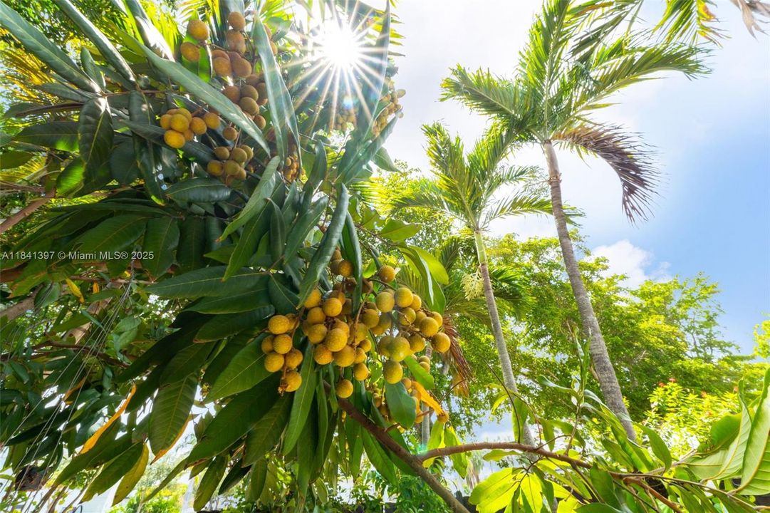 Недавно продано: $430,000 (2 спален, 2 ванн, 1280 Квадратных фут)