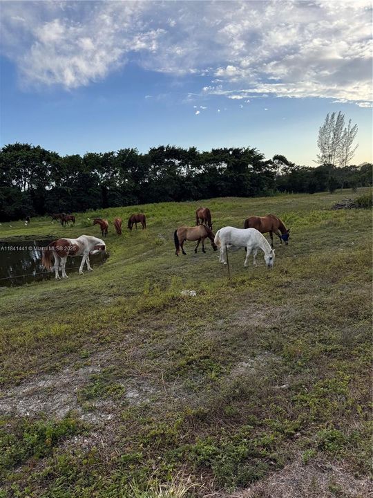 En Venta: $2,295,000 (5 camas, 5 baños, 5025 Pies cuadrados)