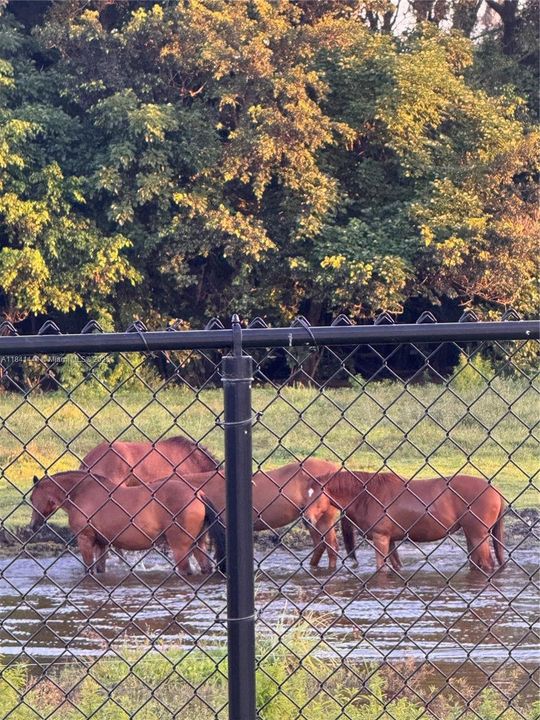 En Venta: $2,295,000 (5 camas, 5 baños, 5025 Pies cuadrados)