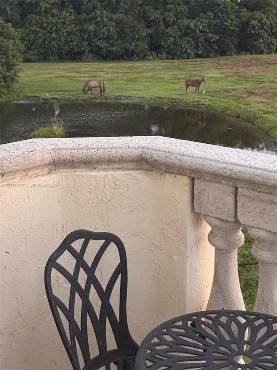 En Venta: $2,295,000 (5 camas, 5 baños, 5025 Pies cuadrados)