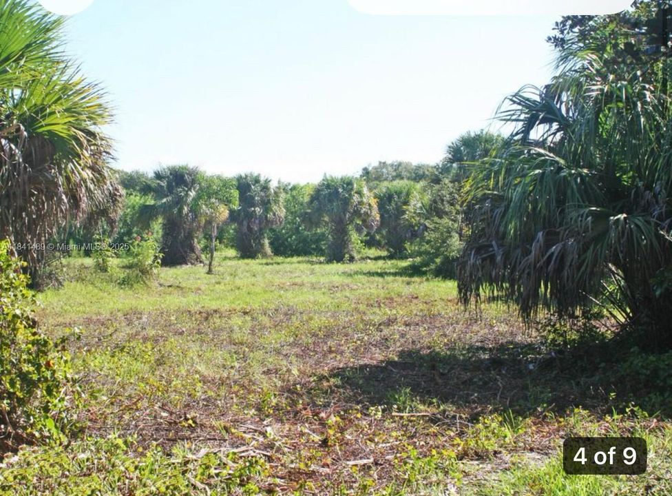 For Sale: $835,000 (5.28 acres)